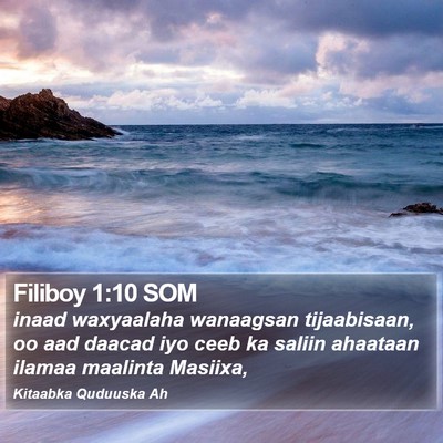 Filiboy 1:10 SOM Bible Verse Image
