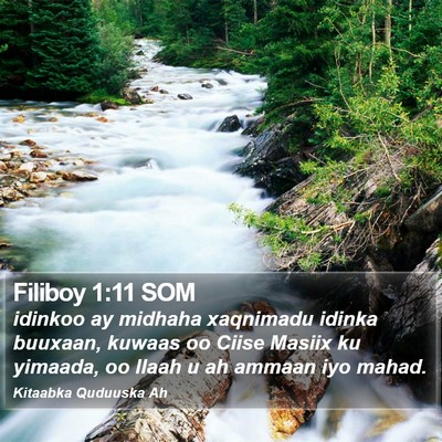 Filiboy 1:11 SOM Bible Verse Image