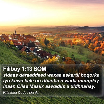 Filiboy 1:13 SOM Bible Verse Image