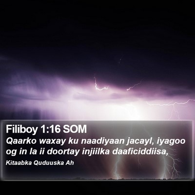 Filiboy 1:16 SOM Bible Verse Image