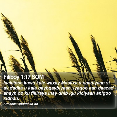 Filiboy 1:17 SOM Bible Verse Image