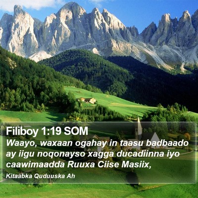 Filiboy 1:19 SOM Bible Verse Image
