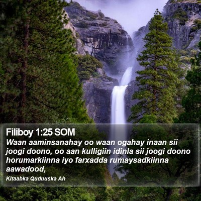 Filiboy 1:25 SOM Bible Verse Image