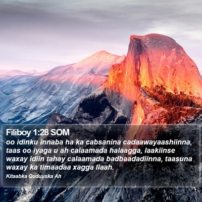 Filiboy 1:28 SOM Bible Verse Image
