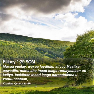 Filiboy 1:29 SOM Bible Verse Image