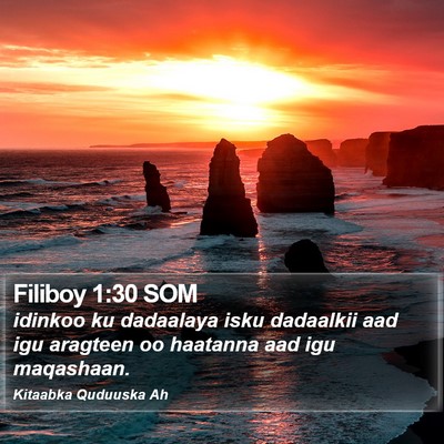 Filiboy 1:30 SOM Bible Verse Image