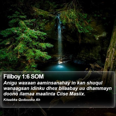 Filiboy 1:6 SOM Bible Verse Image