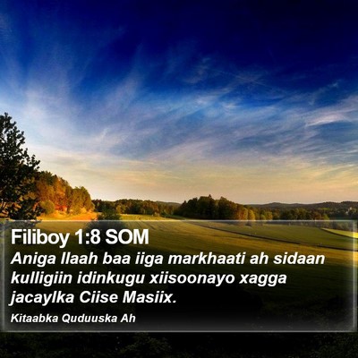 Filiboy 1:8 SOM Bible Verse Image