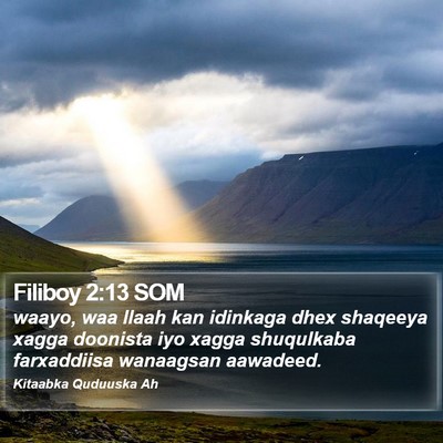 Filiboy 2:13 SOM Bible Verse Image