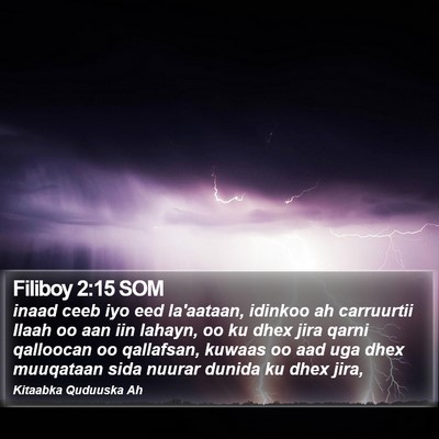 Filiboy 2:15 SOM Bible Verse Image