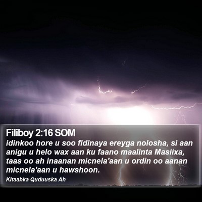 Filiboy 2:16 SOM Bible Verse Image