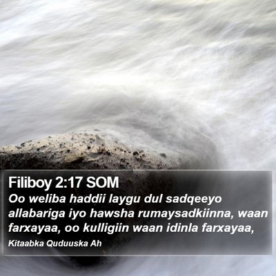 Filiboy 2:17 SOM Bible Verse Image
