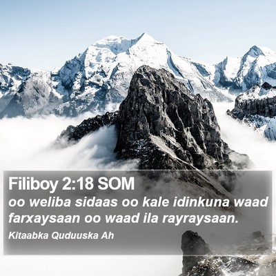 Filiboy 2:18 SOM Bible Verse Image