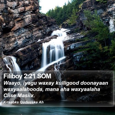 Filiboy 2:21 SOM Bible Verse Image