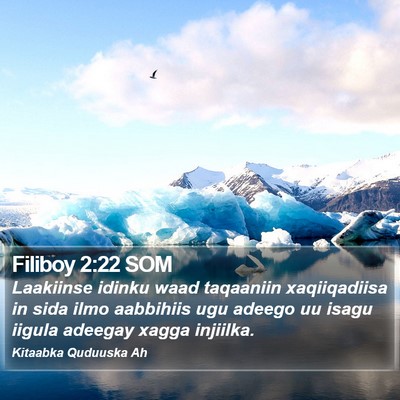 Filiboy 2:22 SOM Bible Verse Image