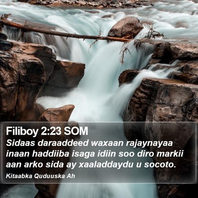 Filiboy 2:23 SOM Bible Verse Image