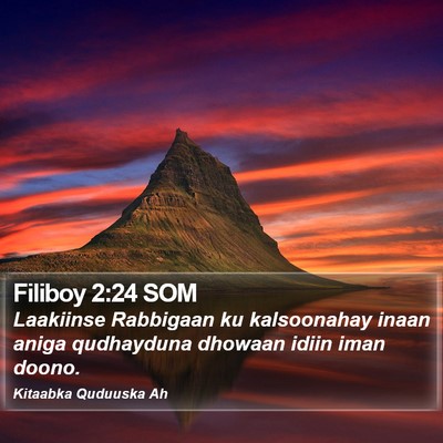 Filiboy 2:24 SOM Bible Verse Image