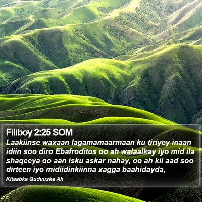 Filiboy 2:25 SOM Bible Verse Image