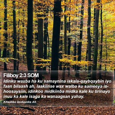 Filiboy 2:3 SOM Bible Verse Image