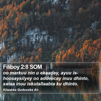 Filiboy 2:8 SOM Bible Verse Image