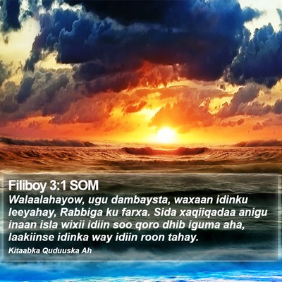 Filiboy 3:1 SOM Bible Verse Image