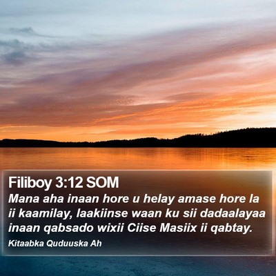 Filiboy 3:12 SOM Bible Verse Image