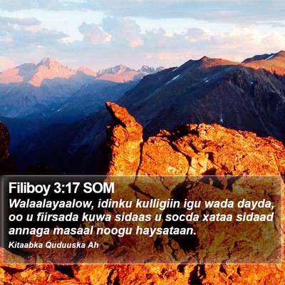Filiboy 3:17 SOM Bible Verse Image