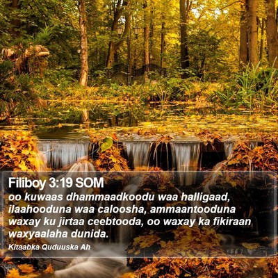 Filiboy 3:19 SOM Bible Verse Image