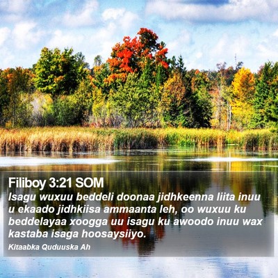 Filiboy 3:21 SOM Bible Verse Image