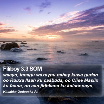 Filiboy 3:3 SOM Bible Verse Image
