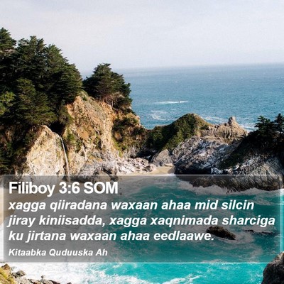 Filiboy 3:6 SOM Bible Verse Image