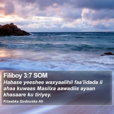 Filiboy 3:7 SOM Bible Verse Image