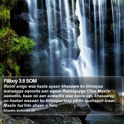 Filiboy 3:8 SOM Bible Verse Image