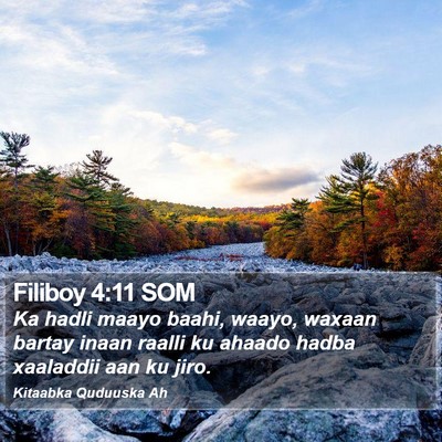 Filiboy 4:11 SOM Bible Verse Image