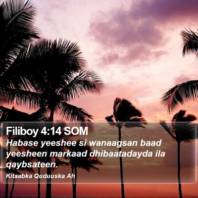 Filiboy 4:14 SOM Bible Verse Image