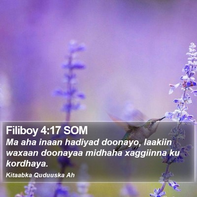Filiboy 4:17 SOM Bible Verse Image