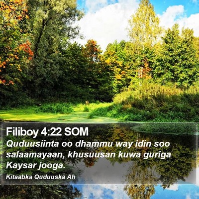 Filiboy 4:22 SOM Bible Verse Image