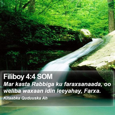 Filiboy 4:4 SOM Bible Verse Image