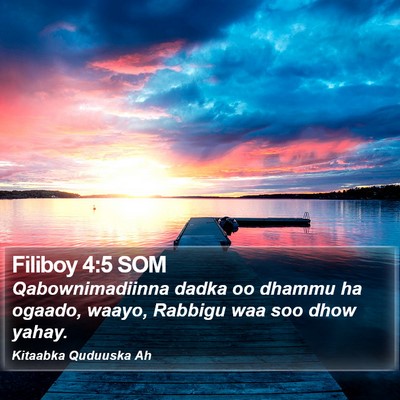 Filiboy 4:5 SOM Bible Verse Image