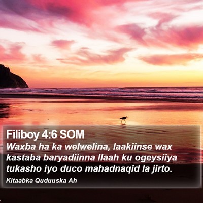 Filiboy 4:6 SOM Bible Verse Image