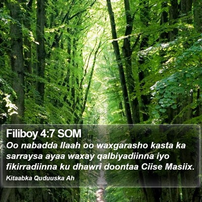 Filiboy 4:7 SOM Bible Verse Image