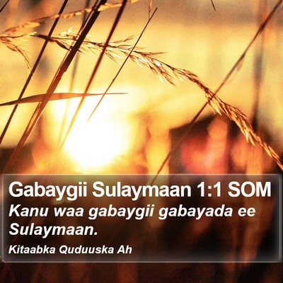 Gabaygii Sulaymaan 1:1 SOM Bible Verse Image