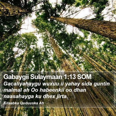 Gabaygii Sulaymaan 1:13 SOM Bible Verse Image