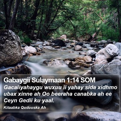 Gabaygii Sulaymaan 1:14 SOM Bible Verse Image