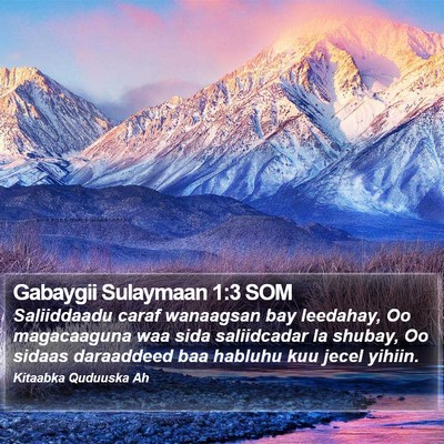 Gabaygii Sulaymaan 1:3 SOM Bible Verse Image