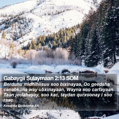 Gabaygii Sulaymaan 2:13 SOM Bible Verse Image