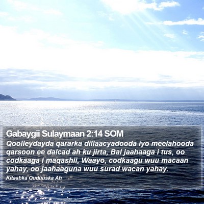 Gabaygii Sulaymaan 2:14 SOM Bible Verse Image