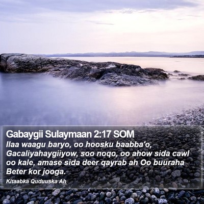 Gabaygii Sulaymaan 2:17 SOM Bible Verse Image