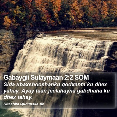 Gabaygii Sulaymaan 2:2 SOM Bible Verse Image