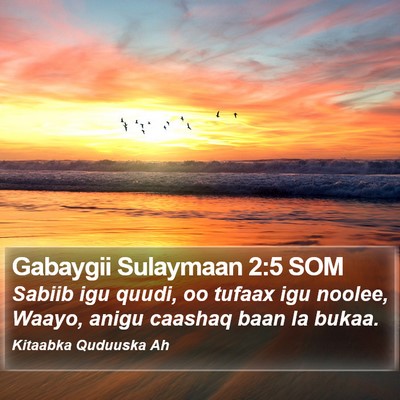 Gabaygii Sulaymaan 2:5 SOM Bible Verse Image